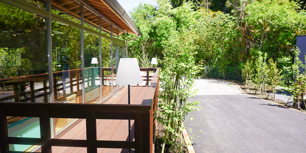 beetle_outviewing_LR-3_600x300